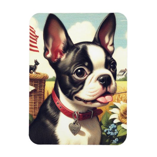 Vintag Boston Terrier Illustration Magnet (Vertikal)