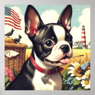 Vintag Boston Terrier Illustration Poster
