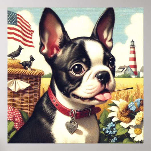 Vintag Boston Terrier Illustration Poster (Vorne)
