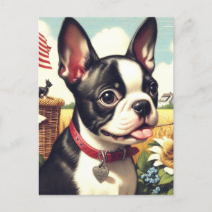 Vintag Boston Terrier Illustration Postkarte