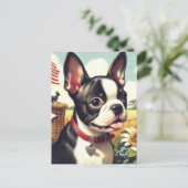 Vintag Boston Terrier Illustration Postkarte (Stehend Vorderseite)