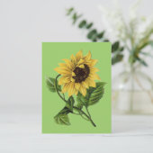 Vintag Botanicals Dandy Sunflower Postkarte (Stehend Vorderseite)