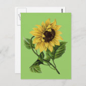 Vintag Botanicals Dandy Sunflower Postkarte (Vorne/Hinten)