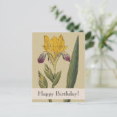 Vintag Botanicals Iris Happy Geburtstagskarte Postkarte (Stehend Vorderseite)