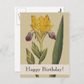 Vintag Botanicals Iris Happy Geburtstagskarte Postkarte (Vorne/Hinten)