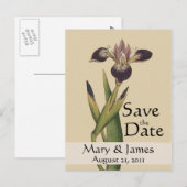 Vintag Botanicals Iris Save the Date Postkarte (Vorne/Hinten)