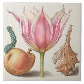 Vintag botanisch fliese (Vorderseite)