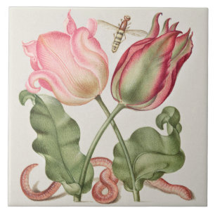 Vintag botanisch fliese