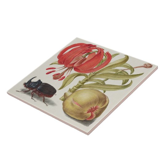 Vintag botanisch fliese (Seite)