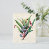Vintag Botanisch Postkarte (Stehend Vorderseite)