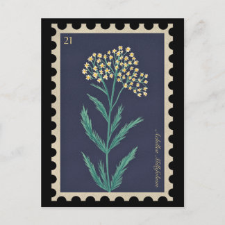Vintag Botanische Achillea millefolium Flora Postkarte