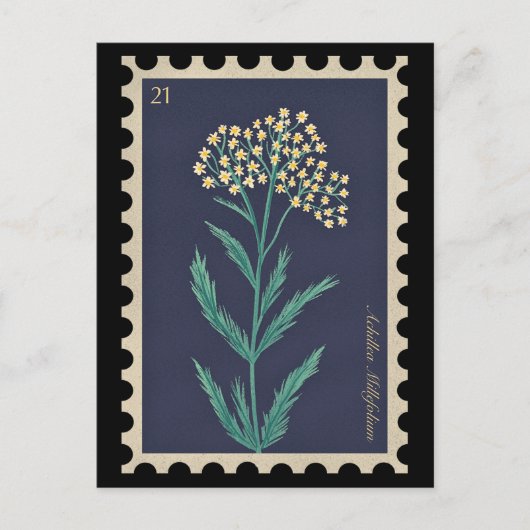 Vintag Botanische Achillea millefolium Flora Postkarte (Vorderseite)
