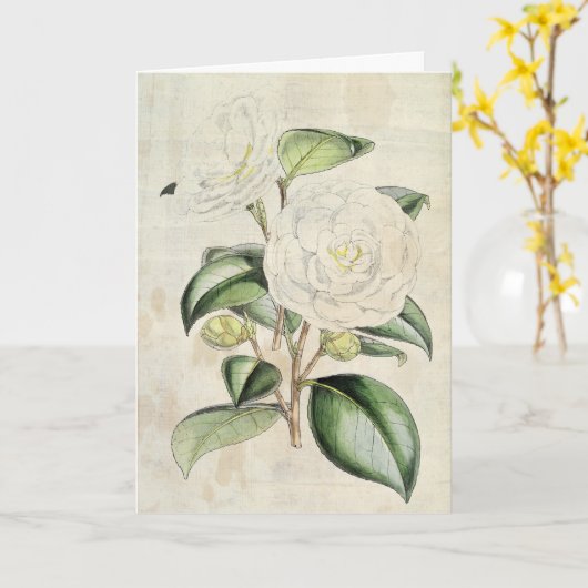 Vintag Botanische Perle Karte (Gelbe Blume)