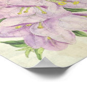Vintag Botanische Showy Bougainvillea Poster (Ecke)