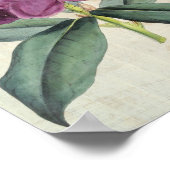 Vintag Botanischer Amilear Rhododendron Poster (Ecke)