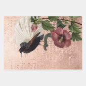 Vintag Botanischer Vogel auf Rosa Geschenkpapier Set (Vorderseite 2)