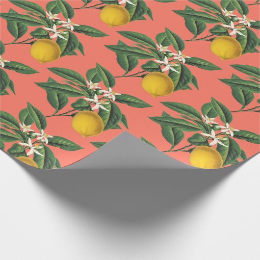 Vintag Botanischer Zitronenfrüchte Blossom Orange Geschenkpapier (Ecke)