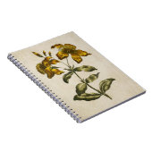 Vintag Botanisches Floral Johanniskraut Notizblock (Rechte Seite)