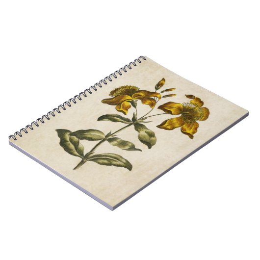 Vintag Botanisches Floral Johanniskraut Notizblock (Linke Seite)