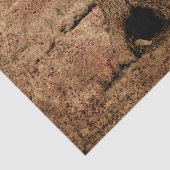 Vintag-braunes Land Rustikale Grunge Baumstruktur  Seidenpapier (Ausschnitt)