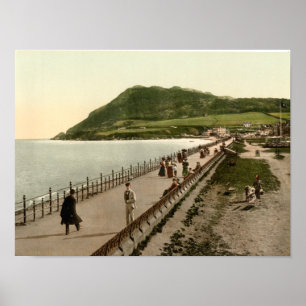 Vintag Bray Poster