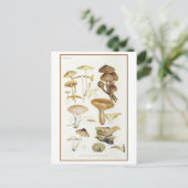 Vintag Brown Mushroom Illustration Postkarte (Stehend Vorderseite)