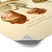 Vintag Brown Mushrooms Art Druck Französisch Poster (Ecke)