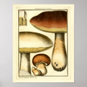 Vintag Brown Mushrooms Französische Kunst Poster (Vorne)