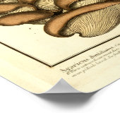 Vintag Brown Mushrooms Französische Kunst Poster (Ecke)