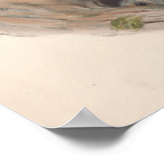 Vintag-Brown-Owl-Vogel Poster (Ecke)