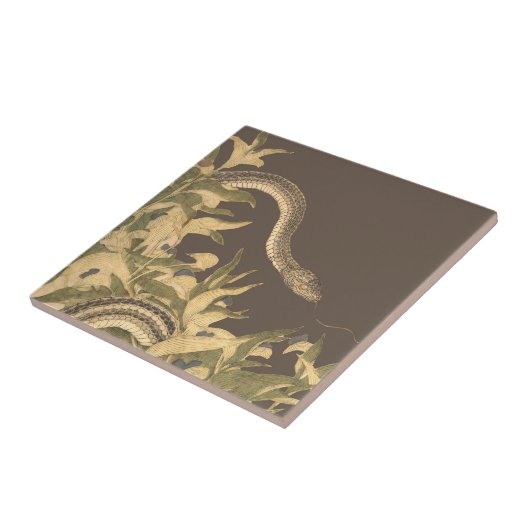 Vintag Brown Snake Fliese (Seite)