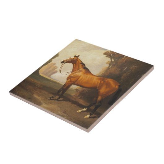 Vintag Brown Vollblutpferd Fliese (Seite)