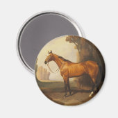 Vintag Brown Vollblutpferd Magnet (Vorderseite/Rückseite)