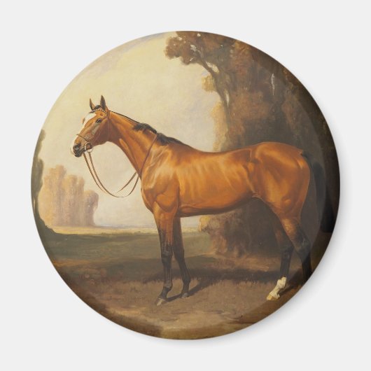 Vintag Brown Vollblutpferd Magnet (Vorne)