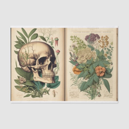 Vintag Buch Botany skull Decoupage Seidenpapier (Vorderseite)