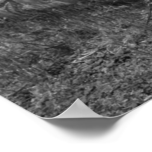 Vintag Buick Car Postage Poster (Ecke)