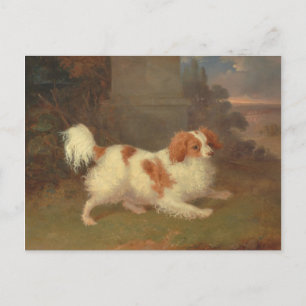 Vintag Calvalier King Charles Spaniel Painting Postkarte