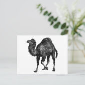 Vintag Camel Postkarte (Stehend Vorderseite)