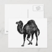 Vintag Camel Postkarte (Vorne/Hinten)