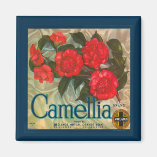 Vintag Camellia Brand Magnet