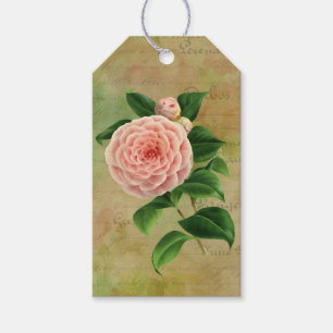 Vintag Camellia, Französisch botanisch Geschenkanhänger