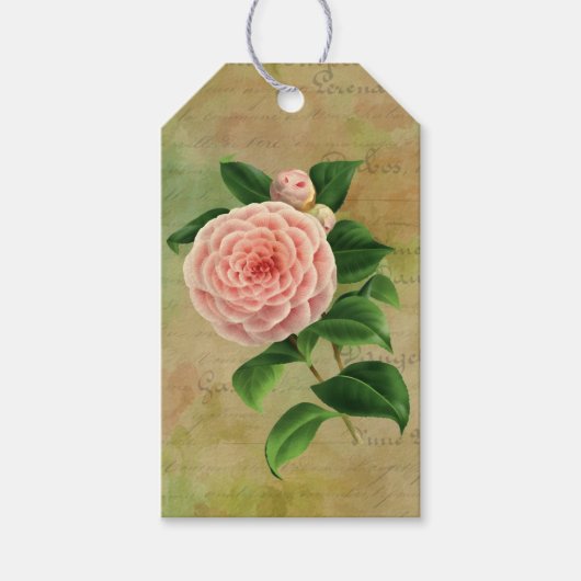 Vintag Camellia, Französisch botanisch Geschenkanhänger (Vorderseite)