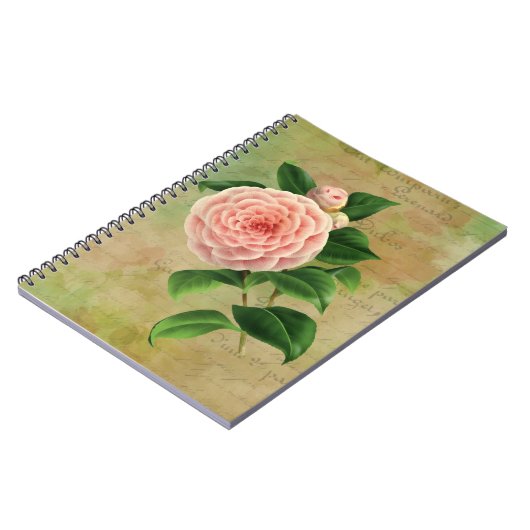 Vintag Camellia, Französisch botanisch Notizblock (Linke Seite)