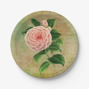 Vintag Camellia, Französisch botanisch Pappteller