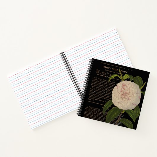 Vintag Camellia Virginia Franco Black Notizblock (Innenseite)