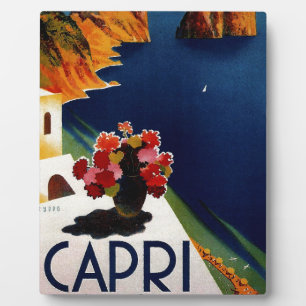 Vintag Capri Italien Reisen Fotoplatte