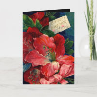 Vintag Card Rote Blume Geburtstagsgruß