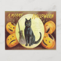 Vintag Cat Halloween