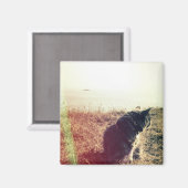 Vintag Cat Magnet (Vorderseite/Rückseite)