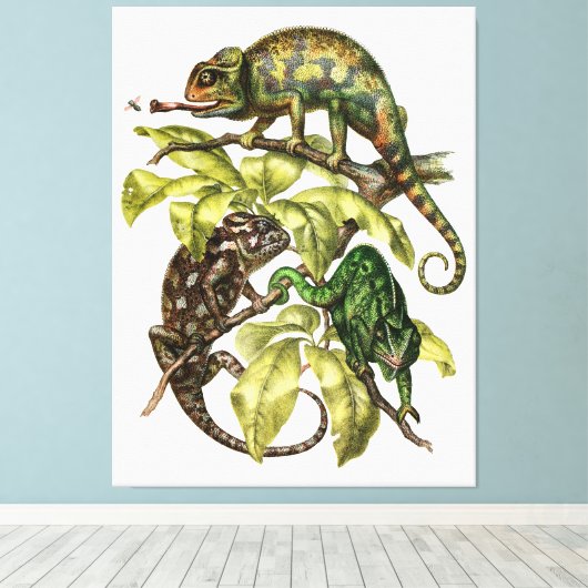 Vintag Chameleon Lizard Leinwanddruck (Insitu (Holzboden))